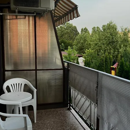 Sunny Noks Orchid Slăntjev Brjag