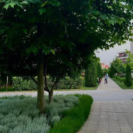 Sunny Noks Orchid Lejlighed